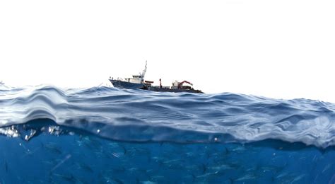 global fishing watch|2030 Strategy .